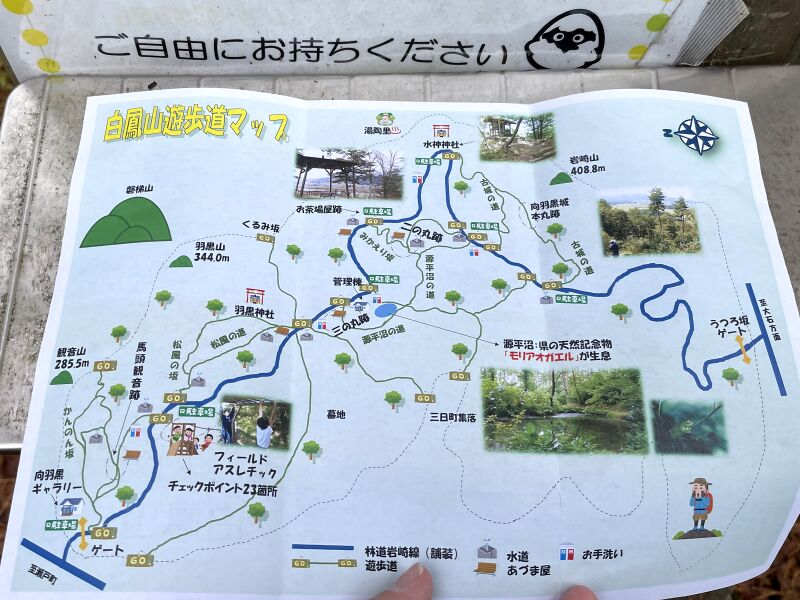 ファイル:白鳳山遊歩道マップ.jpg
