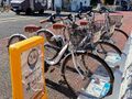 HelloCycling cyclestation norisuke+daichari.jpg